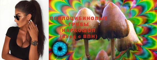 хмурый Горнозаводск