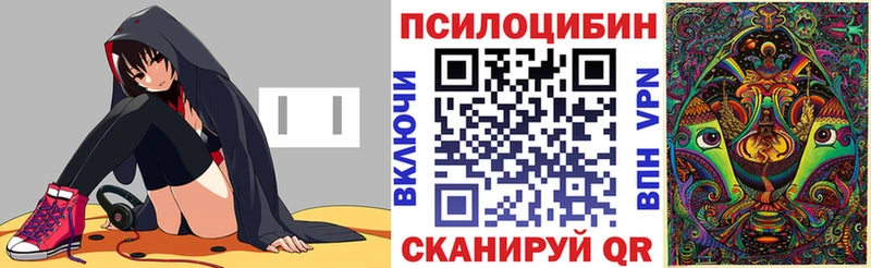Псилоцибиновые грибы Psilocybine cubensis Иннополис